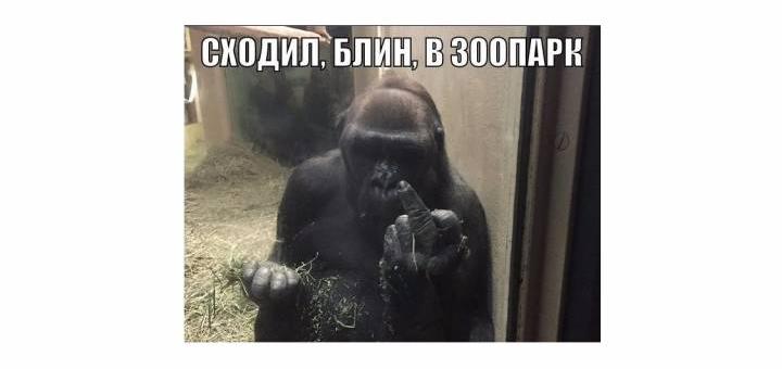 Оттянул свои яйца фото 143-46 Оттянул свои яйца фото 143-46